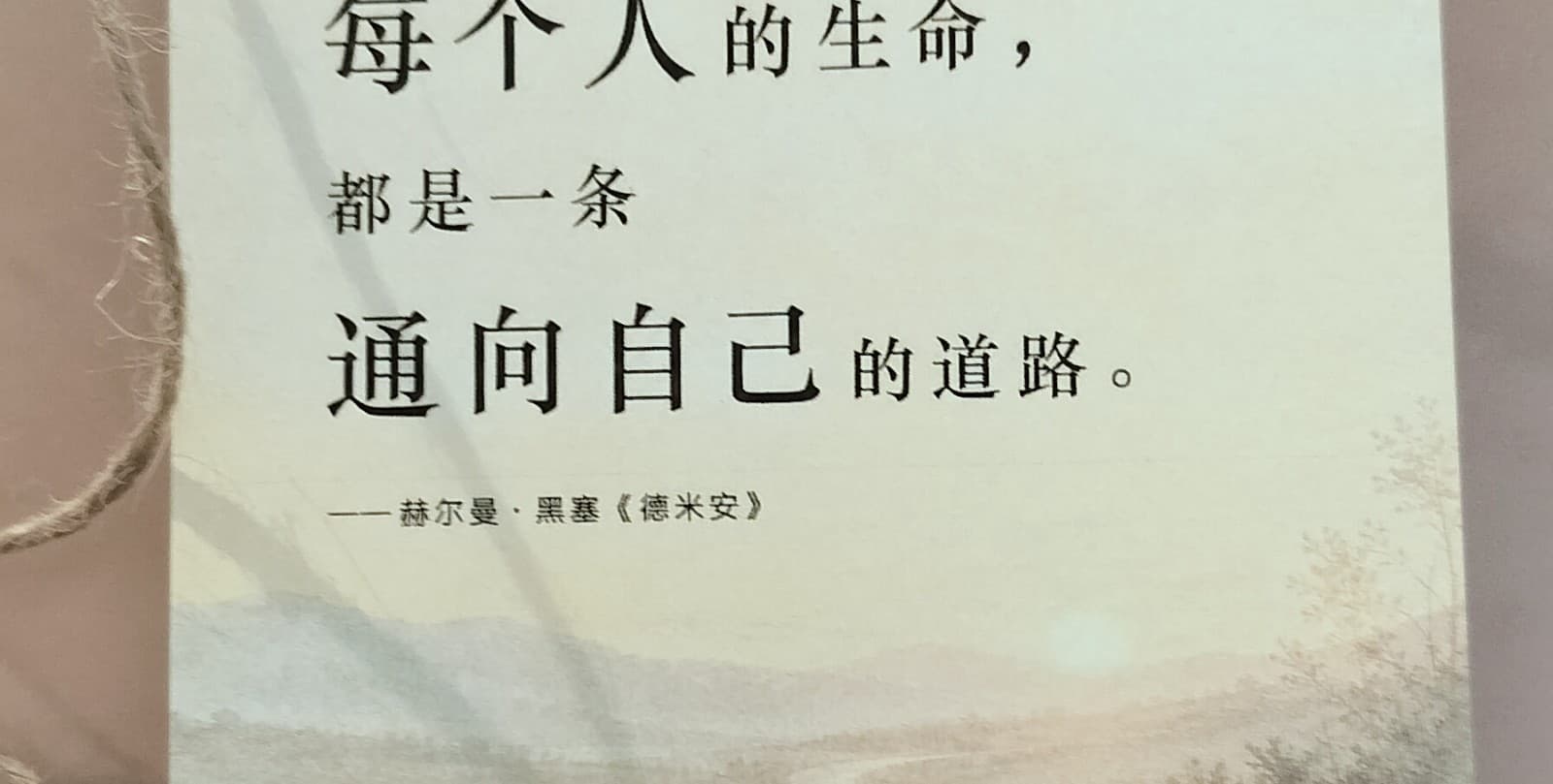 YY留下的上海回声照片