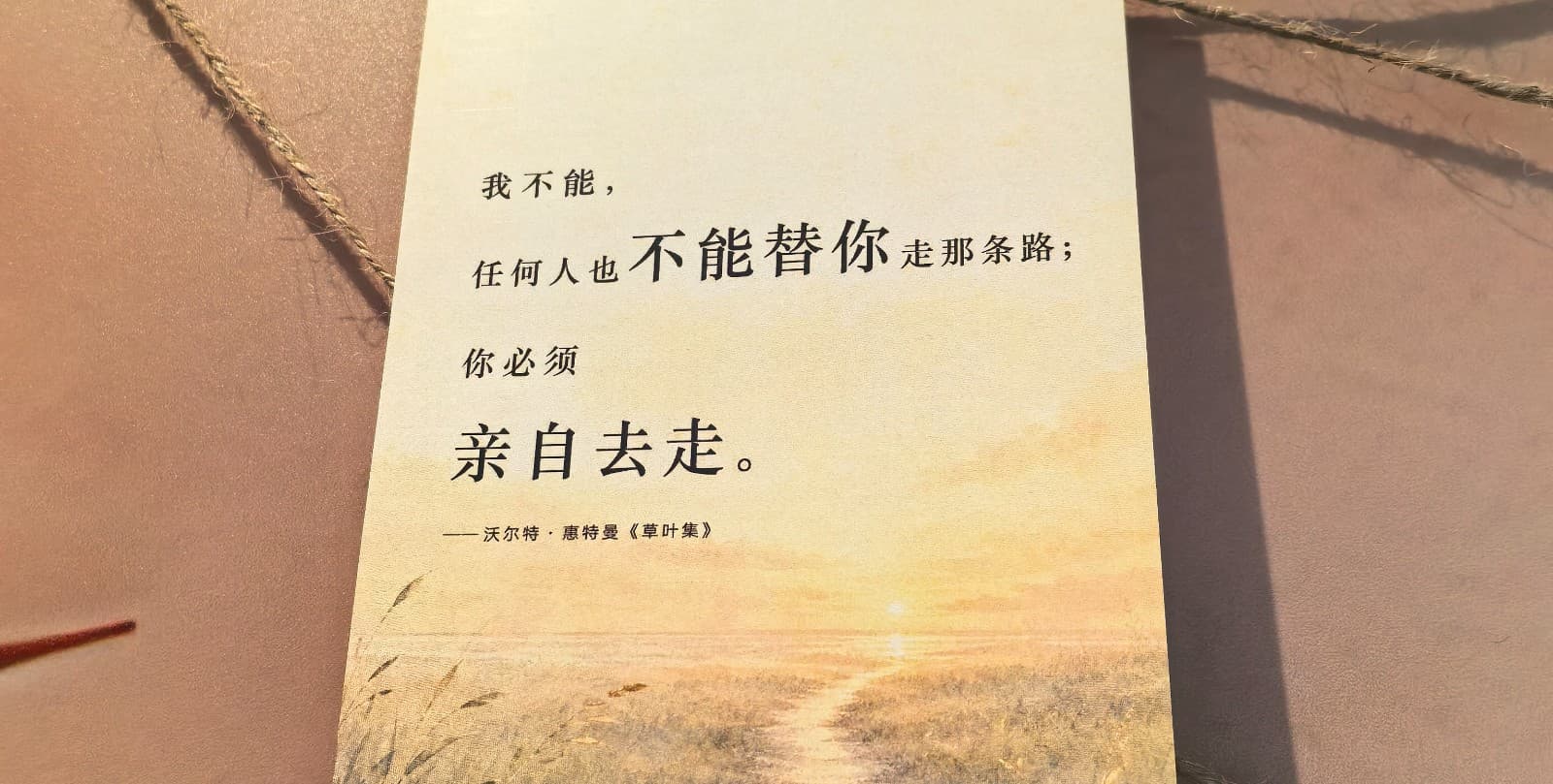 毕玲留下的上海回声照片